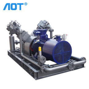 Industrial CH4 Gas Compressor Biogas to Cng Convator Machine Biogas Digester Compression for Biogas Transmission